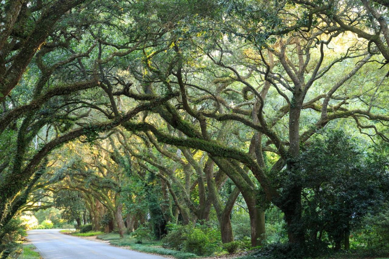 Magnolia Springs Bed And Breakfast Exteriér fotografie